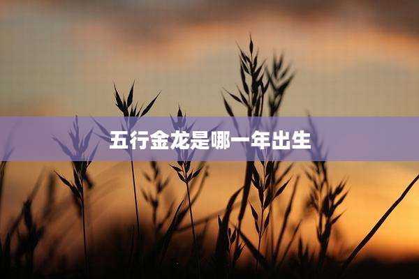 五行金龙是哪一年出生