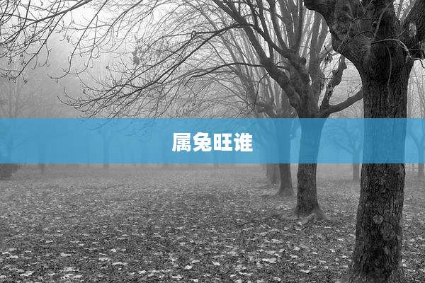 属兔旺谁