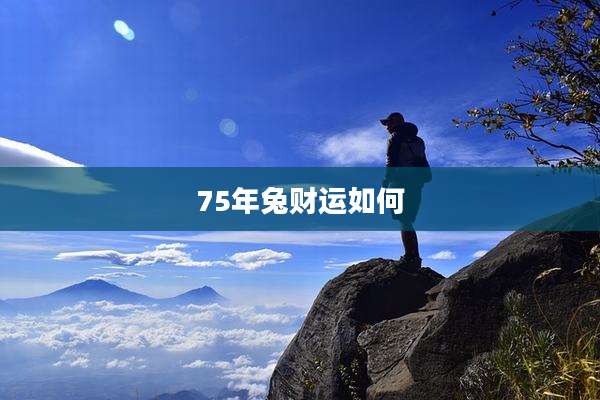 75年兔财运如何