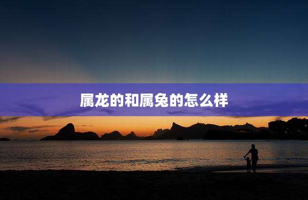 属龙的和属兔的怎么样