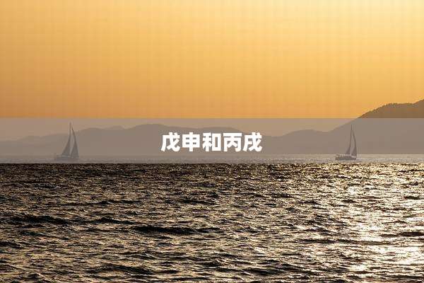 戊申和丙戌