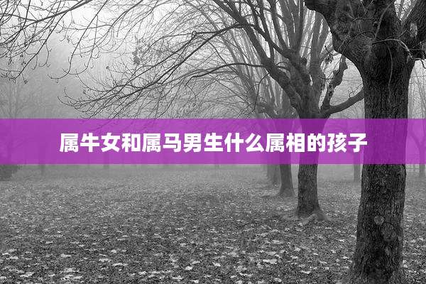 属牛女和属马男生什么属相的孩子