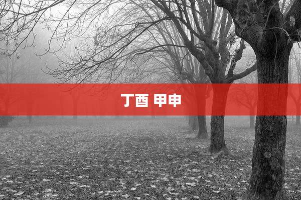 丁酉 甲申