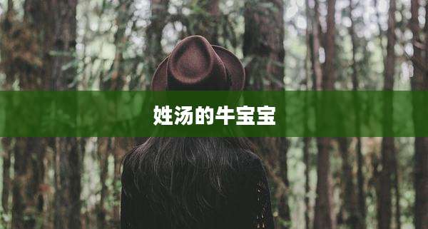 姓汤的牛宝宝
