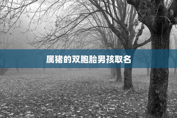 属猪的双胞胎男孩取名