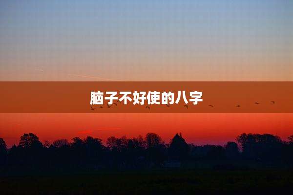 脑子不好使的八字