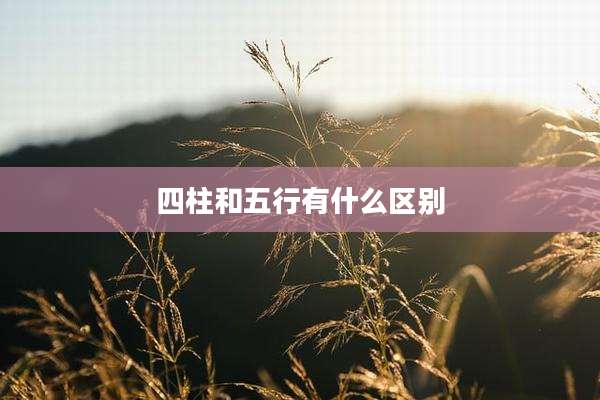 四柱和五行有什么区别