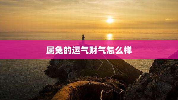 属兔的运气财气怎么样