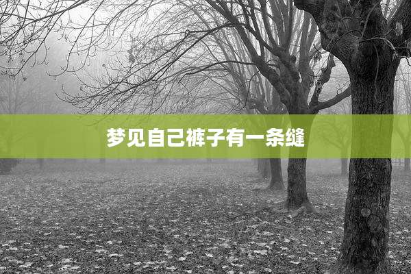 梦见自己裤子有一条缝