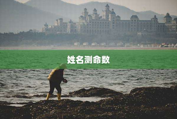 姓名测命数