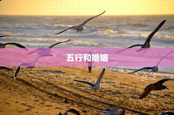 五行和婚姻