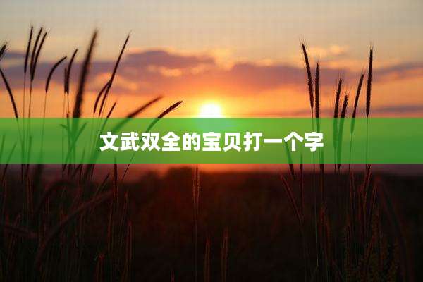 文武双全的宝贝打一个字