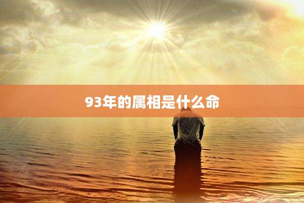 93年的属相是什么命