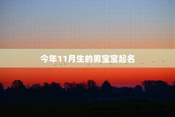 今年11月生的男宝宝起名