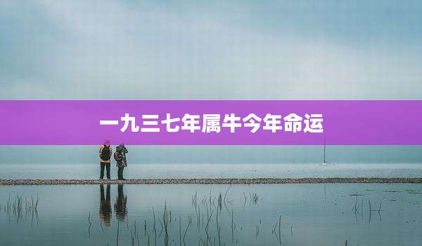 一九三七年属牛今年命运
