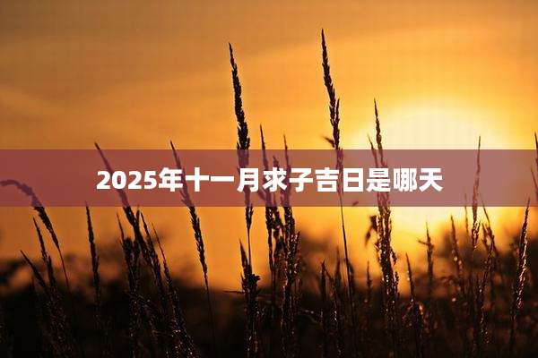2025年十一月求子吉日是哪天