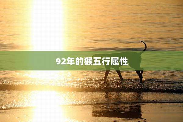 92年的猴五行属性