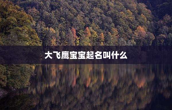 大飞鹰宝宝起名叫什么
