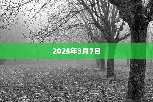 2025年3月7日