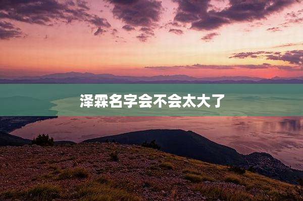 泽霖名字会不会太大了