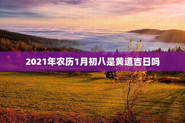 2021年农历1月初八是黄道吉日吗