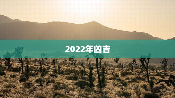 2022年凶吉