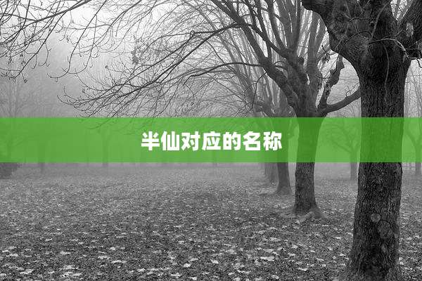 半仙对应的名称