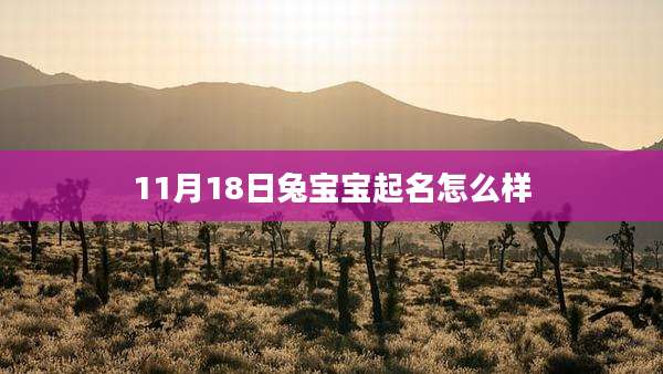 11月18日兔宝宝起名怎么样