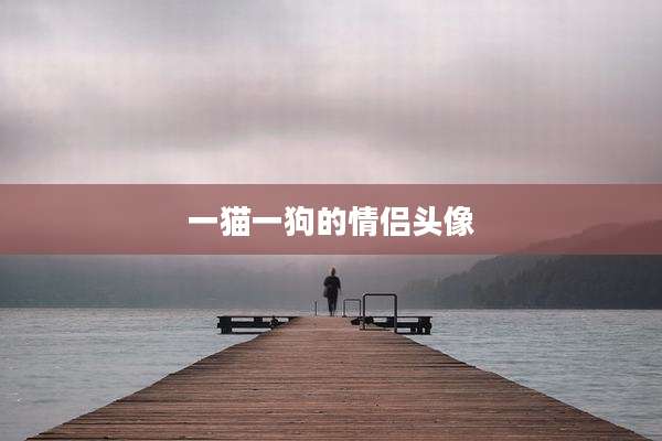 一猫一狗的情侣头像