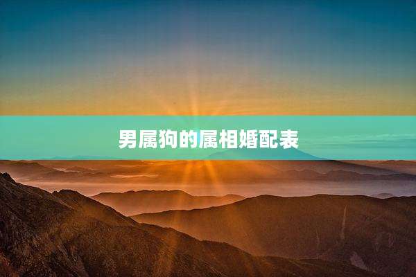 男属狗的属相婚配表