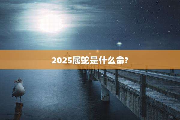 2025属蛇是什么命?