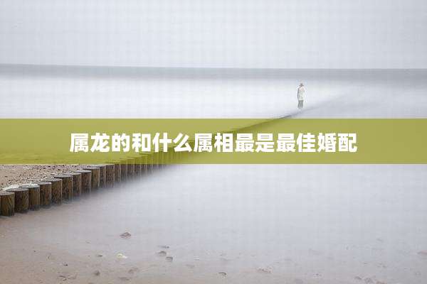 属龙的和什么属相最是最佳婚配