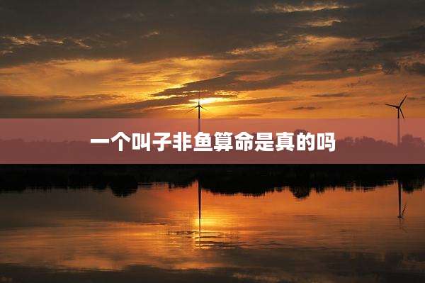 一个叫子非鱼算命是真的吗