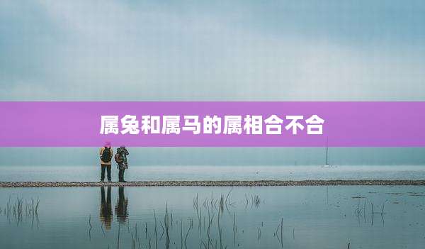 属兔和属马的属相合不合