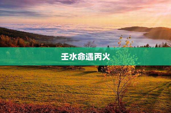壬水命遇丙火