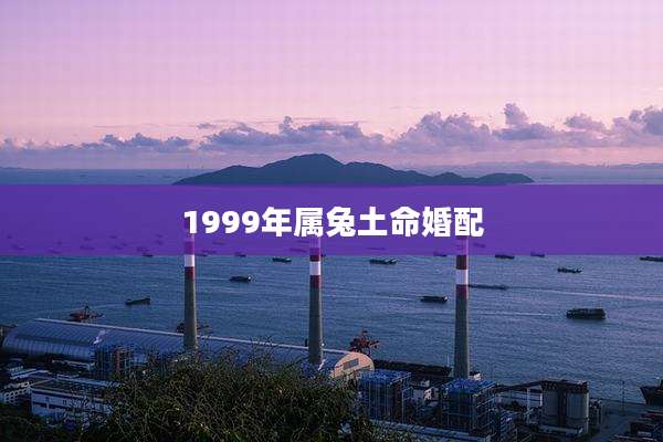 1999年属兔土命婚配