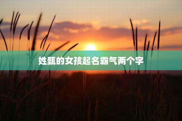 姓甄的女孩起名霸气两个字