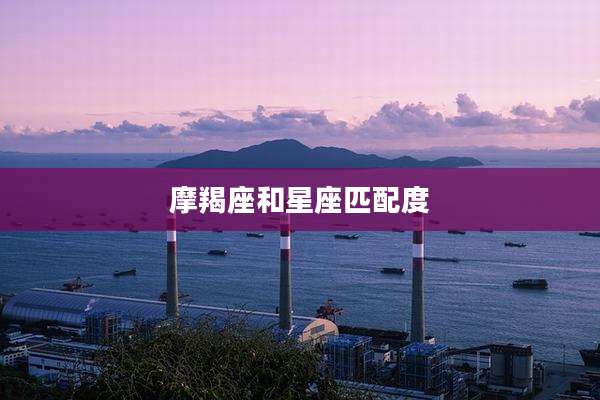 摩羯座和星座匹配度