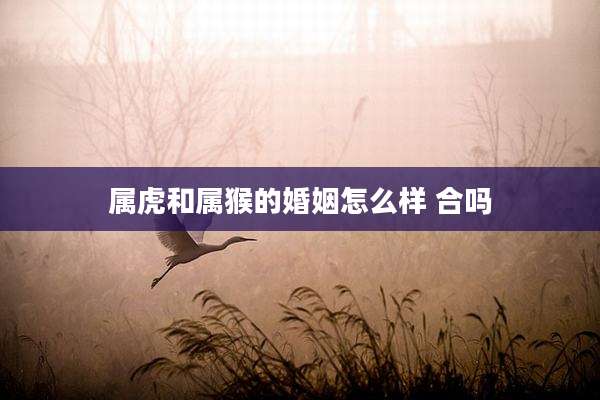 属虎和属猴的婚姻怎么样 合吗