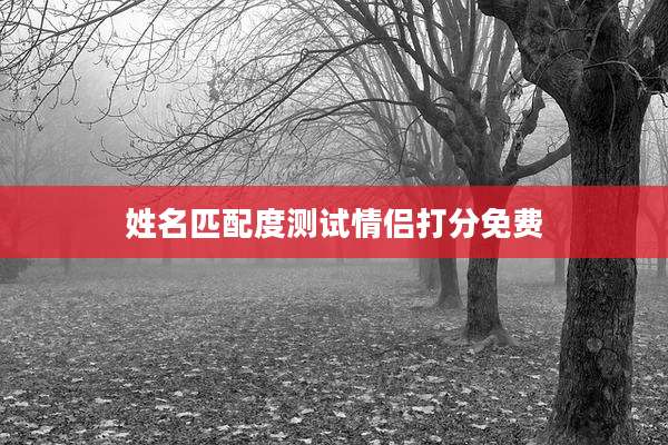 姓名匹配度测试情侣打分免费