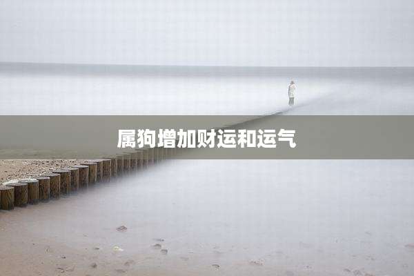 属狗增加财运和运气