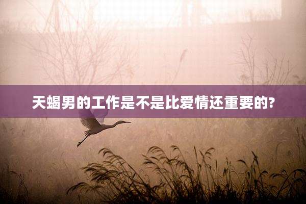 天蝎男的工作是不是比爱情还重要的?
