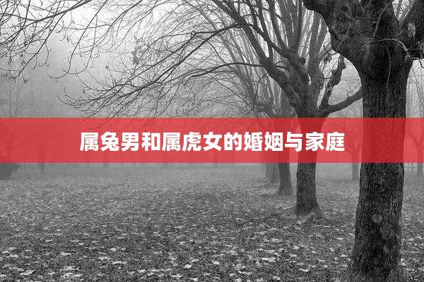 属兔男和属虎女的婚姻与家庭