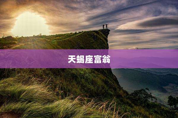 天蝎座富翁