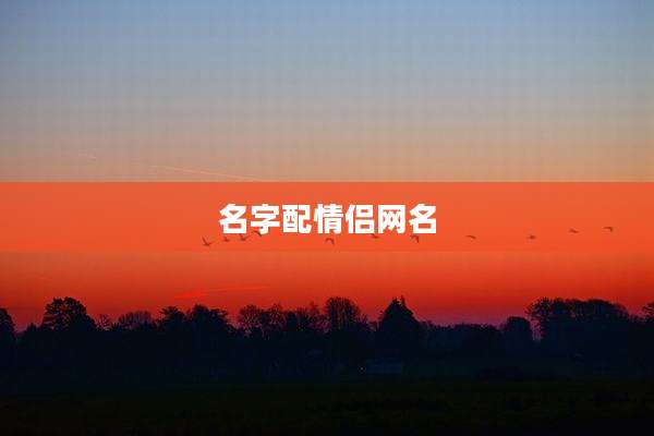 名字配情侣网名