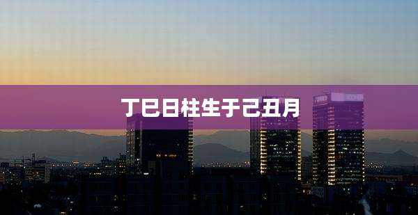 丁巳日柱生于己丑月