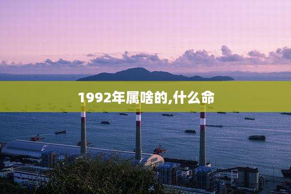 1992年属啥的,什么命