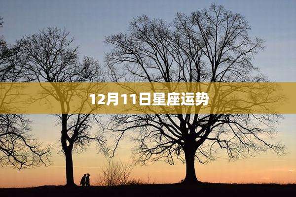 12月11日星座运势
