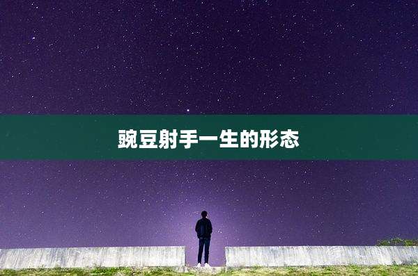 豌豆射手一生的形态