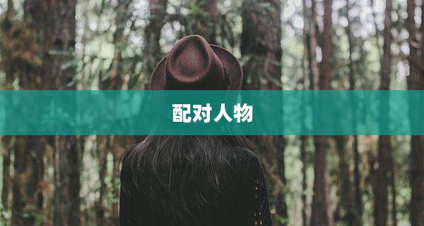 配对人物